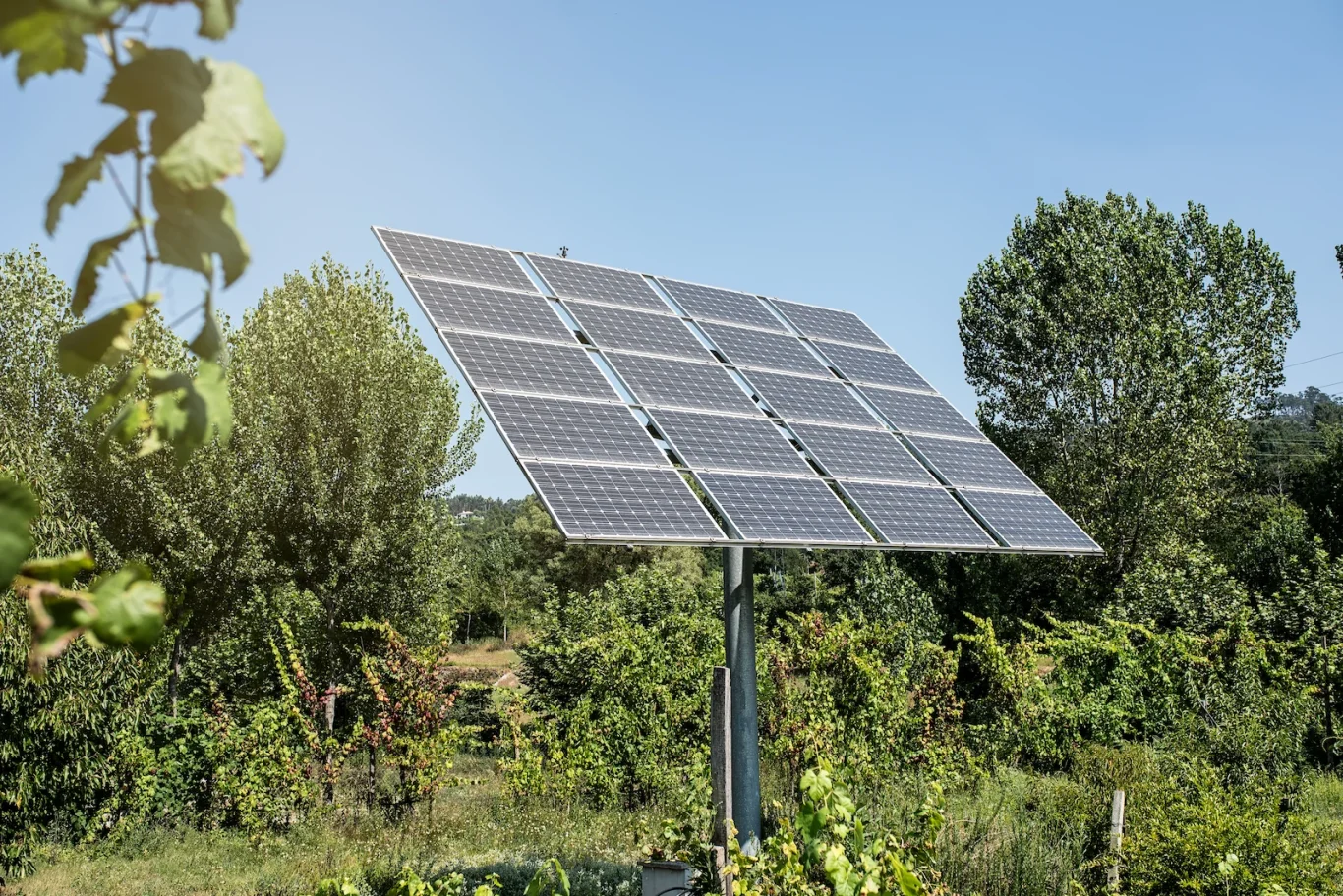 Solaranlage mit mehreren Modulen in einer grünen Gartenlandschaft.